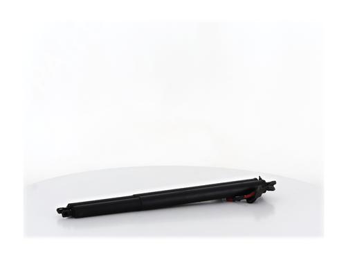 Tailgate lift support RENAULT SCENIC E-TECH PHASE I EV87 | BP37513265C138 - Image 2