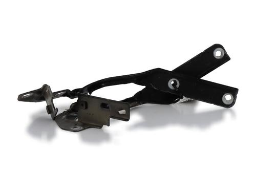 Hinge/Door check strap CITROËN C4 Picasso I MPV (UD_) 1.6 HDi 110 | BP28971299C146 