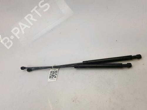 Tailgate lift support LAND ROVER RANGE ROVER III (L322) 4.4 4x4 LR038048