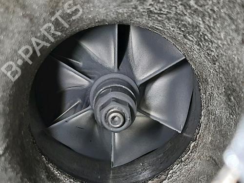 Engine VW GOLF VIII (CD1, DA1) 2.0 TDI | BP32039458M1 