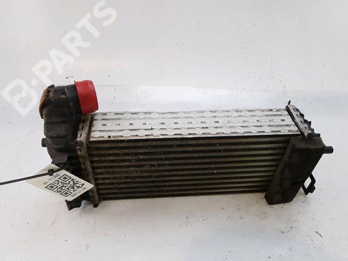 Used Intercooler Intercooler FORD TRANSIT CONNECT V408 Box Body/MPV 1.5 EcoBlue (75 hp) 10471182 10471182