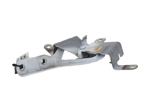 Hinge/Door check strap RENAULT CLIO IV (BH_) 1.5 dCi 90 | BP31349820C146