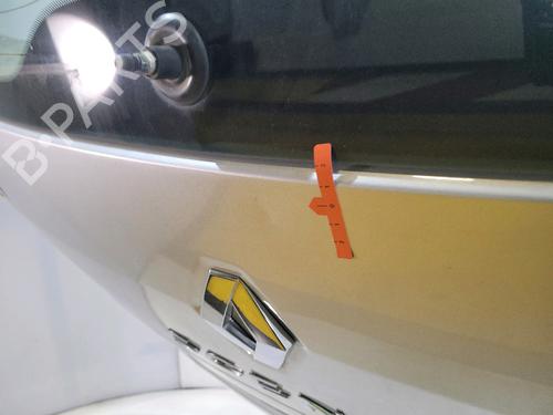 Tailgate RENAULT SCÉNIC III (JZ0/1_) 1.5 dCi | BP30334978C6 