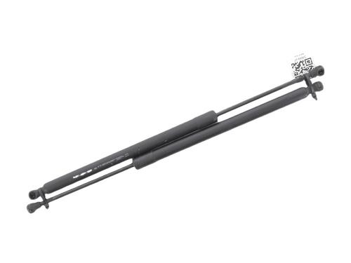 tailgate-lift-support-renault-modus-grand-modus-fjp0_-2004-40249215 main image
