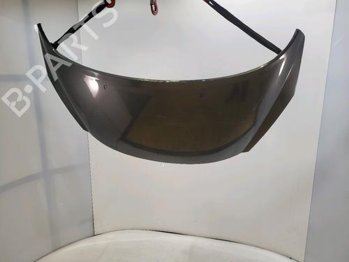 Used Hood PEUGEOT 207 (WA_, WC_) 1.4 16V (98 hp) 29988187