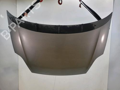 Used Hood FIAT GRANDE PUNTO (199_) 1.3 D Multijet (75 hp) 32460410