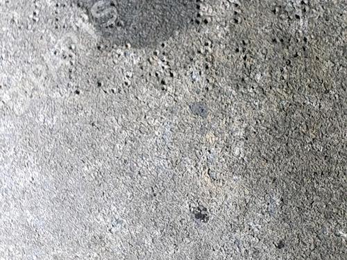 Gearbox RENAULT KANGOO (KC0/1_) D 65 1.9 (KC0E, KC02, KC0J, KC0N) | BP32842903M3  - Image 5