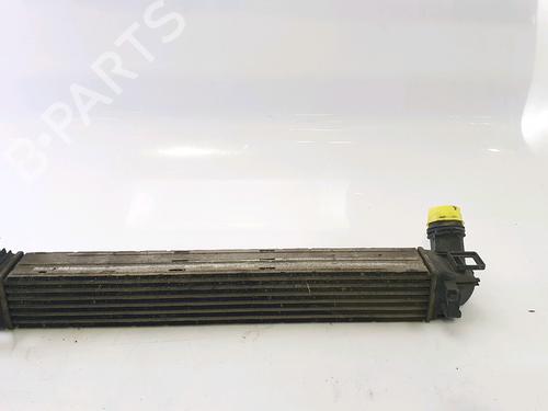Intercooler RENAULT SCÉNIC III (JZ0/1_) 1.5 dCi (110 hp) 28487051