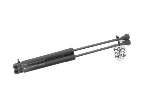 hood-lift-support-renault-kangoo-grand-kangoo-ii-kw01_-2008-32513432 main image