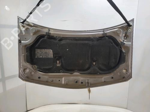 Hood RENAULT MEGANE II (BM0/1_, CM0/1_)  | BP25887377C1 