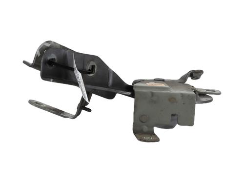 Hinge/Door check strap RENAULT CLIO IV (BH_) 1.2 TCe 120 (BHAU) | BP29145016C146 