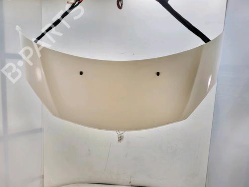 hood-citroen-ds3-sa_-2009-2010-2011-2012-2013-2014-2015-2016-34147579 main image