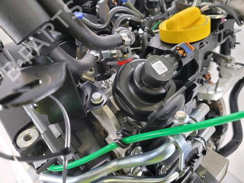 Motor RENAULT KANGOO Express (FW0/1_) 1.5 dCi 95 (FW16) | BP29874422M1
