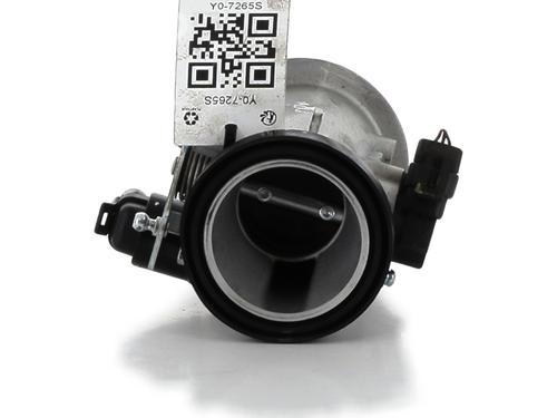 Throttle body DACIA SANDERO 1.4 MPI LPG | BP29873940M82