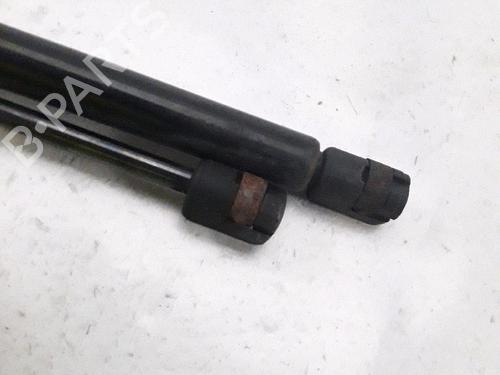 Tailgate lift support FORD FOCUS I Turnier (DNW) 1.8 Turbo DI / TDDi | BP27916823C138 