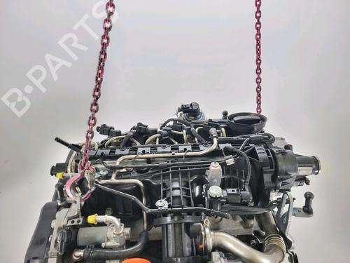Engine VW GOLF VI (5K1) 1.6 TDI | BP29762119M1