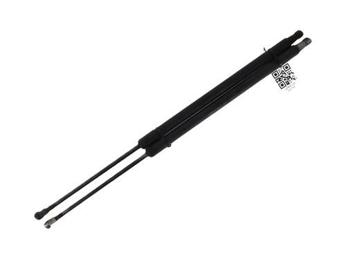 Used Tailgate lift support NISSAN X-TRAIL II (T31) 2.0 dCi 4x4 (150 hp) 27911692