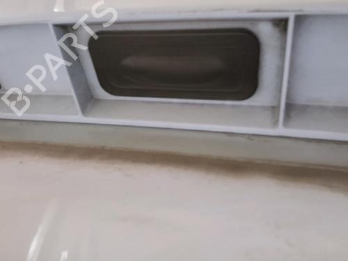 Tailgate RENAULT ZOE (BFM_) ZOE | BP29522871C6 