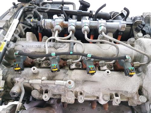 Engine ALFA ROMEO MITO (955_) 1.6 JTDM (955AXC1B) | BP39161315M1 - Image 7