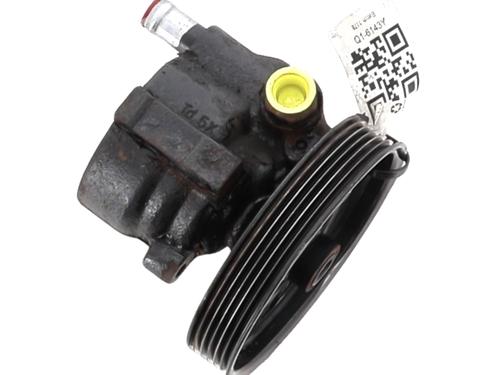Steering pump DACIA SANDERO 1.4 MPI LPG | BP30982380M99 