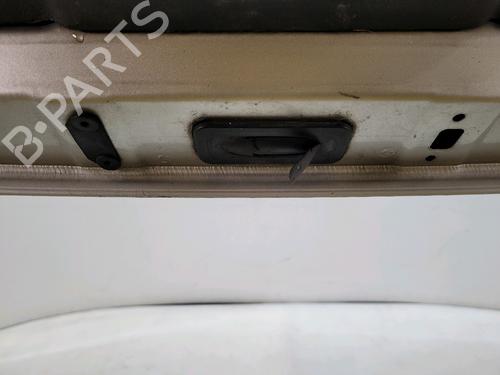 Tailgate RENAULT CLIO III (BR0/1, CR0/1) 1.5 dCi (BR17, CR17) | BP30957925C6