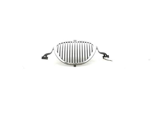 Grille JAGUAR S-TYPE II (X200) 3.0 V6 | BP15614019C40 