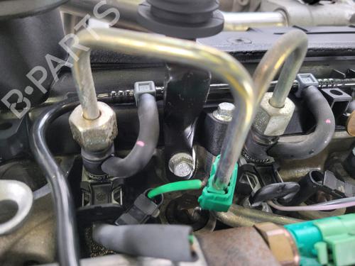 Engine RENAULT KANGOO Express (FC0/1_) 1.5 dCi | BP29552368M1 
