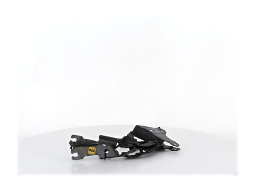 Hinge/Door check strap BMW X1 (E84) xDrive 20 d | BP36962085C146 - Image 2
