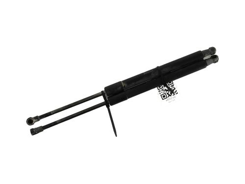 Used Tailgate lift support DACIA DUSTER (HS_) 1.5 dCi 4x4 (109 hp) 27904775