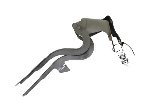 hingedoor-check-strap-peugeot-308-ii-lb_-lp_-lw_-lh_-l3_-2013-2014-2015-2016-2017-2018-2019-2020-2021-31661996 main image