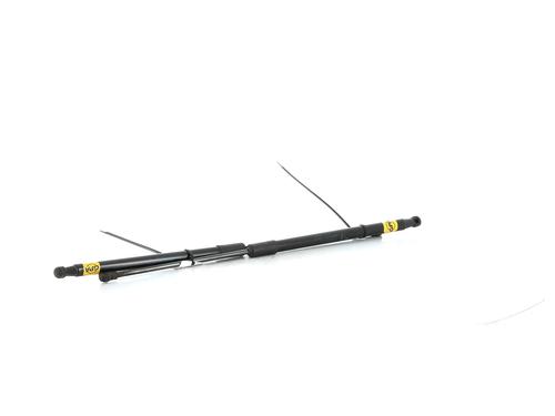 Tailgate lift support RENAULT MEGANE IV Grandtour (K9A/M/N_) 1.5 dCi 90 | BP27916936C138 