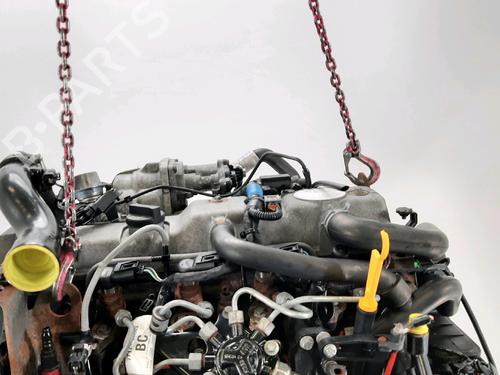 Engine FORD TRANSIT CONNECT (P65_, P70_, P80_) 1.8 Di | BP33190027M1  - Image 5