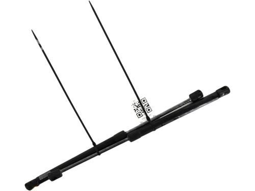 Used Tailgate lift support RENAULT MEGANE II (BM0/1_, CM0/1_) 1.6 16V (BM0C, CM0C) (113 hp) 27904755