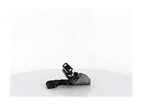 Hinge/Door check strap DACIA DUSTER (HM_) 1.5 dCi 115 4x4 (HMAD) | BP38031002C146 - Image 2
