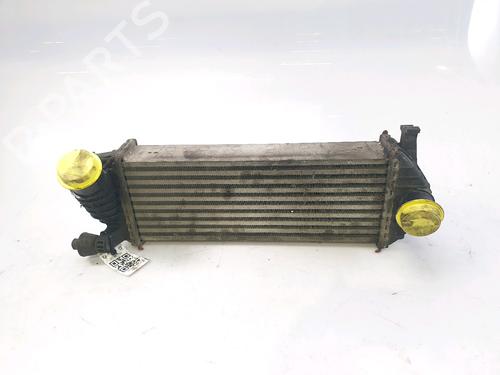 Used Intercooler Intercooler RENAULT KANGOO / GRAND KANGOO II (KW0/1_) 1.5 dCi 85 (KW0K, KW0L, KW0B) (86 hp) 28506296 28506296