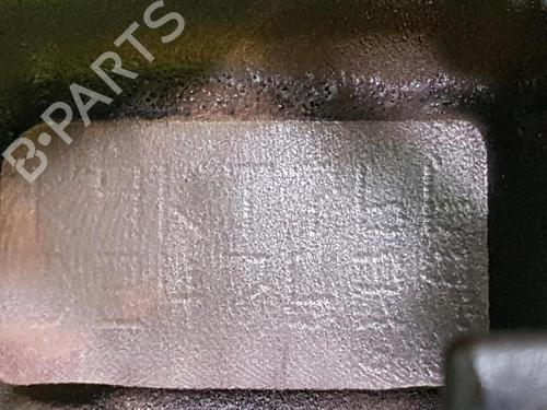 Engine RENAULT CLIO III (BR0/1, CR0/1) 1.5 dCi (BR17, CR17) | BP29517333M1 