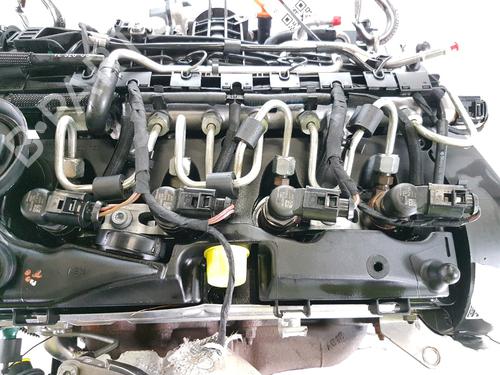 Engine VW POLO V (6R1, 6C1) 1.6 TDI | BP29443534M1 