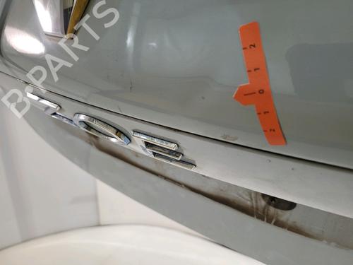 Tailgate RENAULT ZOE (BFM_) ZOE | BP29522871C6 