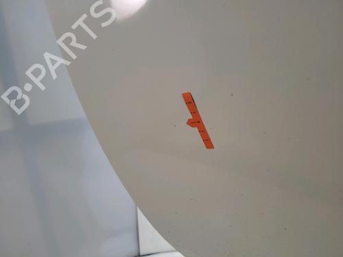 Left front door RENAULT ZOE (BFM_) ZOE | BP29518031C2 