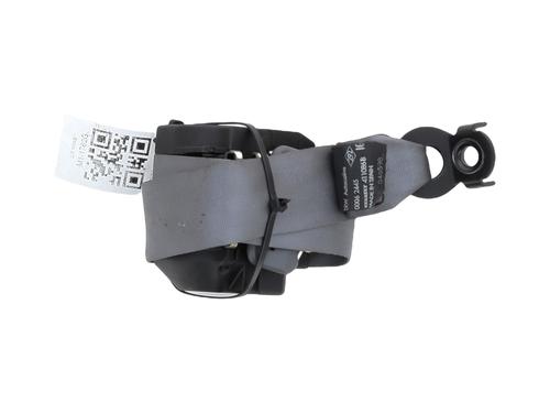 Used Rear left belt tensioner RENAULT CLIO II (BB_, CB_) 1.6 (B/CB0D, BB00) (90 hp) 29295774