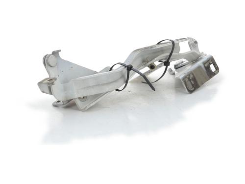 Hinge/Door check strap NISSAN NV200 Van 1.5 dCi 110 (M20, M20N, M20M) | BP29495959C146 