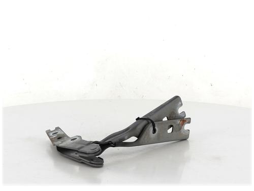 Hinge/Door check strap VW GOLF VII (5G1, BQ1, BE1, BE2) 2.0 TDI | BP27907717C146 