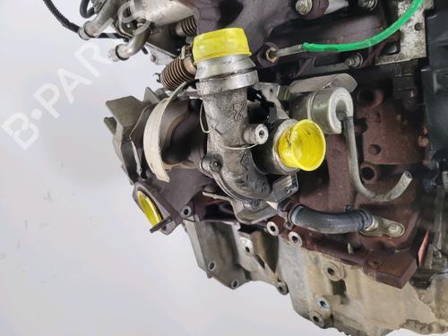 Engine RENAULT CLIO III (BR0/1, CR0/1) 1.5 dCi | BP29346626M1 