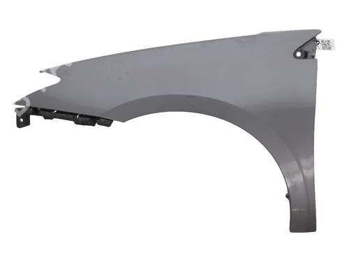 Used Left front fenders RENAULT LAGUNA III (BT0/1) 2.0 dCi (BT01, BT08, BT09, BT0E, BT0K, BT12, BT1C, BT1D,... (150 hp) 28012462