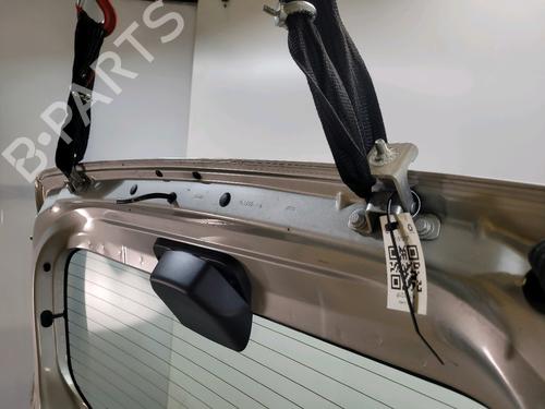 Tailgate DACIA SANDERO II 1.5 dCi | BP29217749C6 