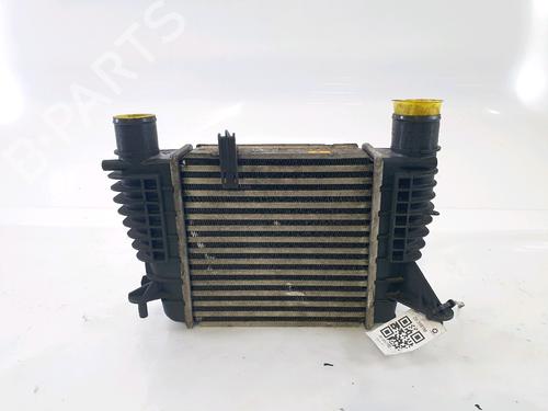 Intercooler RENAULT CLIO III (BR0/1, CR0/1) [2005-2014]  26489681