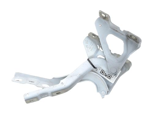 hingedoor-check-strap-renault-clio-v-b7_-2019-36351260 main image