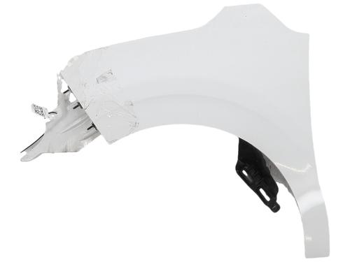 left-front-fenders-citroen-c3-iii-sx-2016-38496545 main image