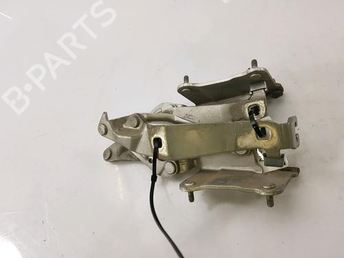 Hinge/Door check strap RENAULT GRAND SCÉNIC II (JM0/1_) 1.9 dCi (JM14) | BP27919334C146 