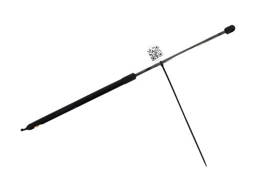 Used Hood lift support RENAULT MEGANE III Coupe (DZ0/1_) 1.5 dCi (DZ09, DZ0D, DZ1F, DZ1G, DZ14, DZ29) (110 hp) 27905233